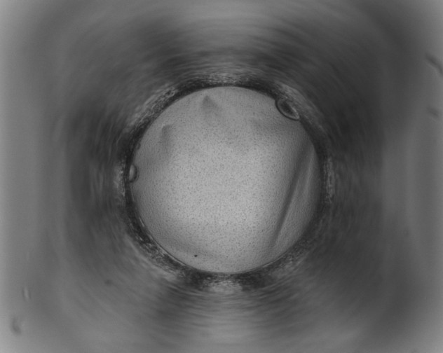 X0000100840258200807111158