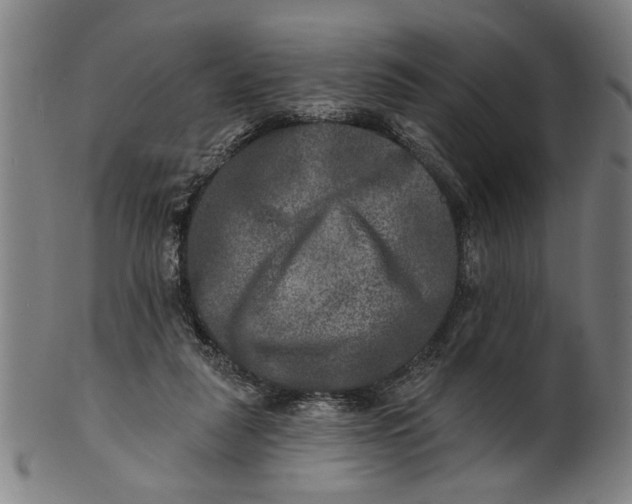 X0000100840259200807111158