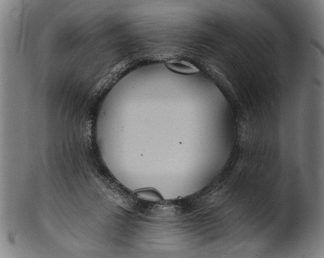 X0000100840260200807111158