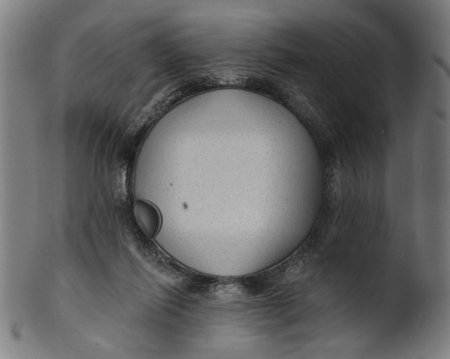 X0000100840262200807111158