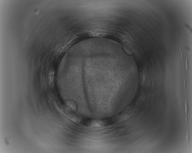 X0000100840263200807111158