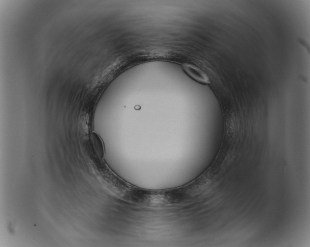 X0000100840264200807111158