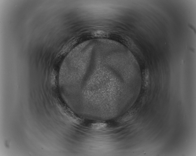 X0000100840266200807111158