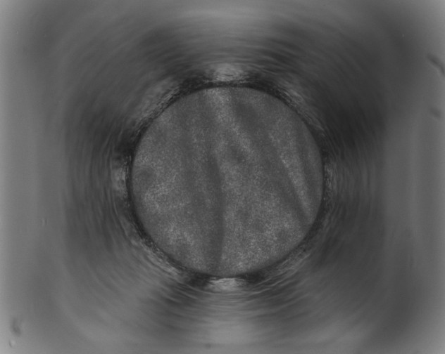 X0000100840269200807111158