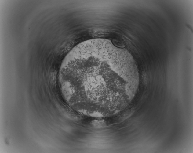 X0000100840271200807111158