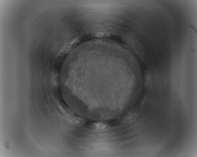 X0000100840272200807111158