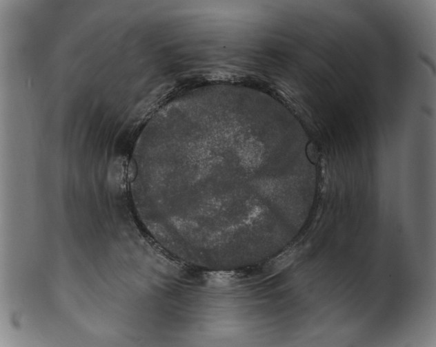 X0000100840273200807111158