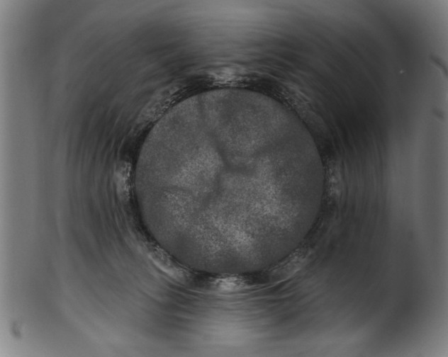 X0000100840275200807111158