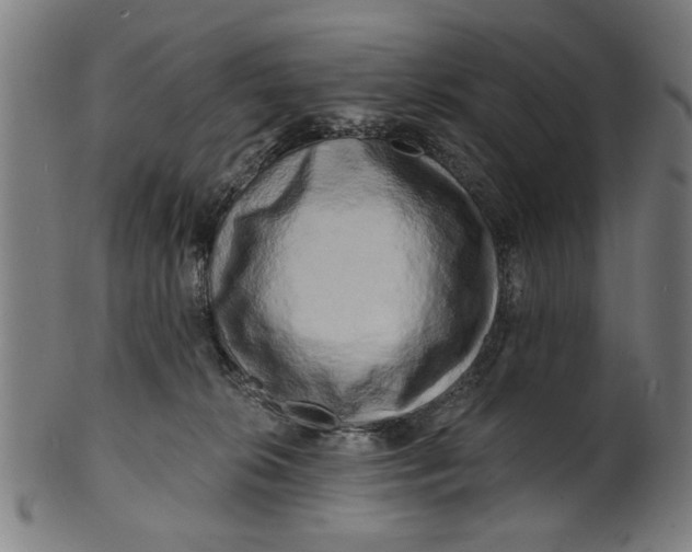 X0000100840276200807111158