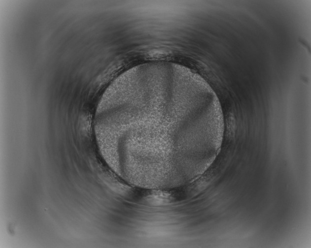 X0000100840278200807111158