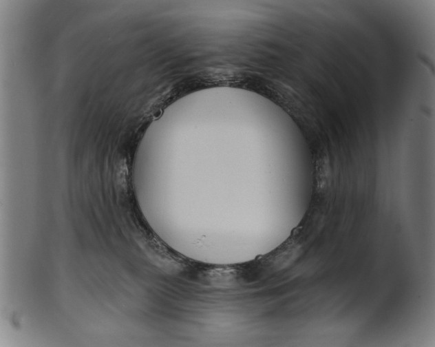 X0000100840279200807111158