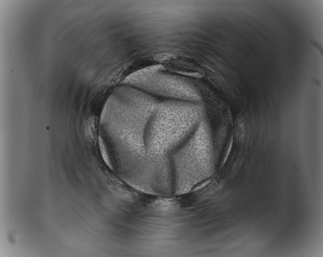 X0000100840280200807111158