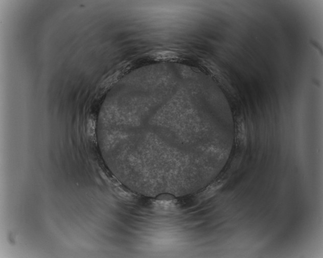 X0000100840281200807111158