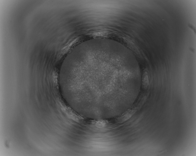 X0000100840282200807111158