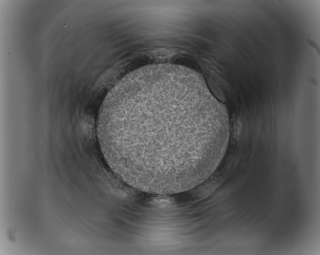 X0000100840283200807111158