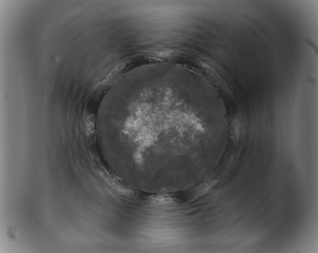 X0000100840284200807111159