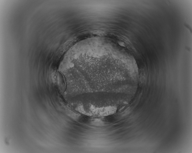 X0000100840285200807111159