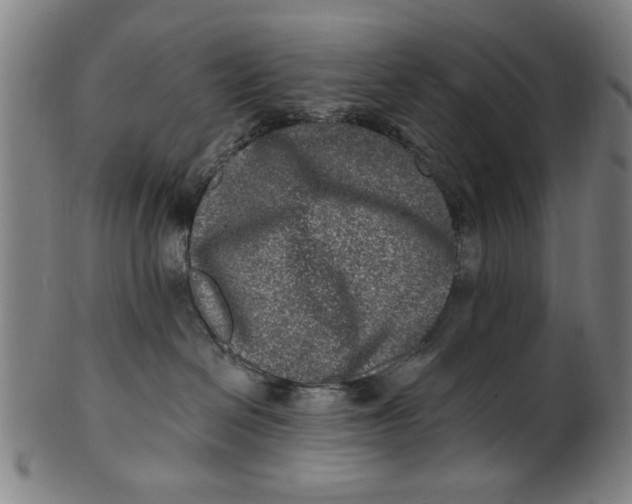 X0000100840286200807111159