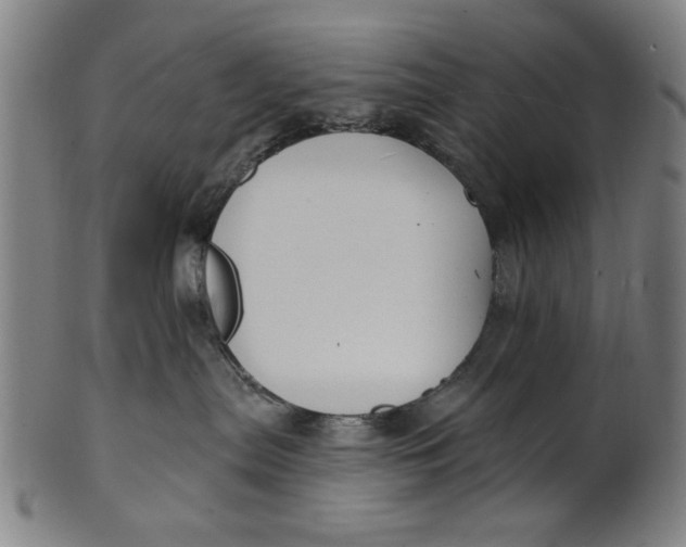 X0000100840287200807111159