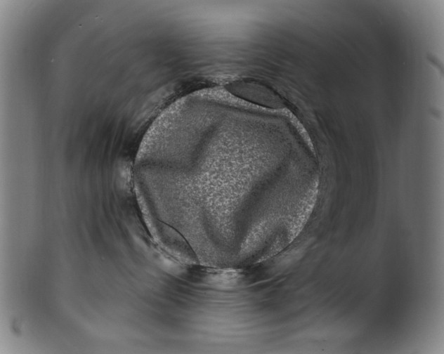 X0000100840288200807111159