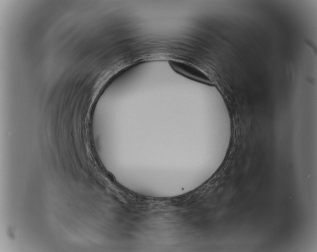 X0000100840289200807111158