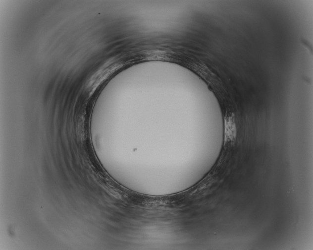 X0000100840291200807111158