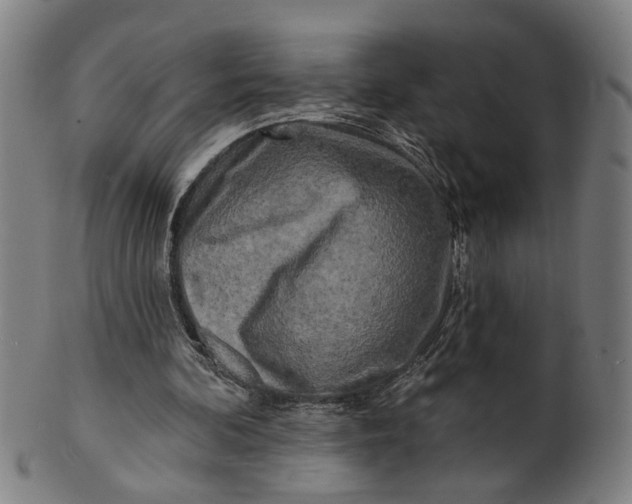 X0000100840292200807111158