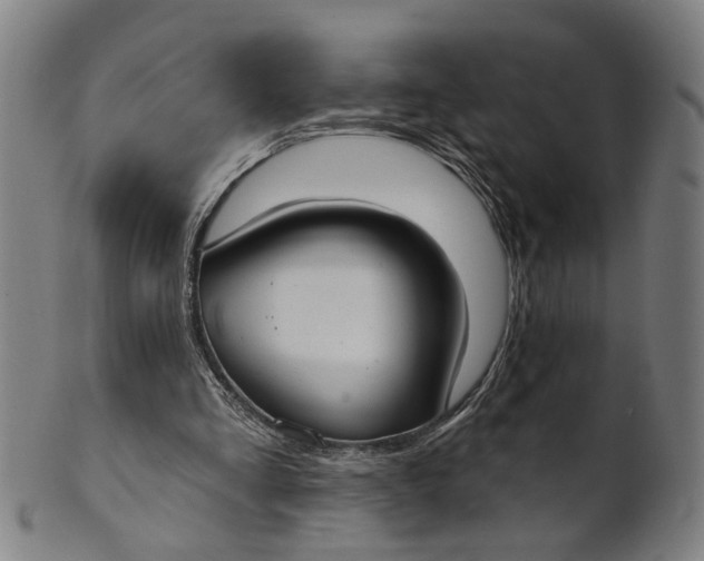 X0000100840293200807111158