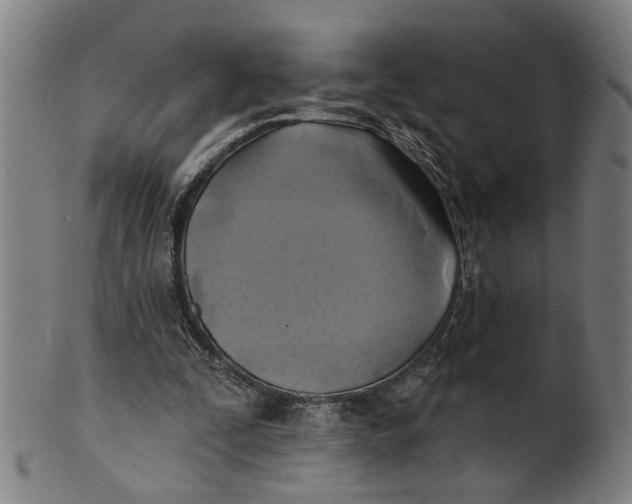 X0000100840295200807111158