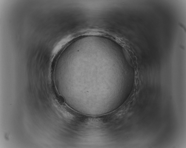 X0000100840296200807111158