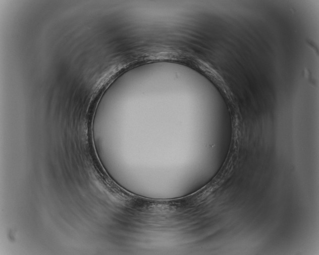 X0000100840298200807111158