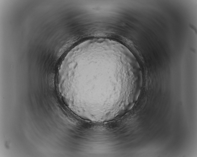 X0000100840299200807111158