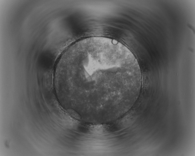 X0000100840301200807111158