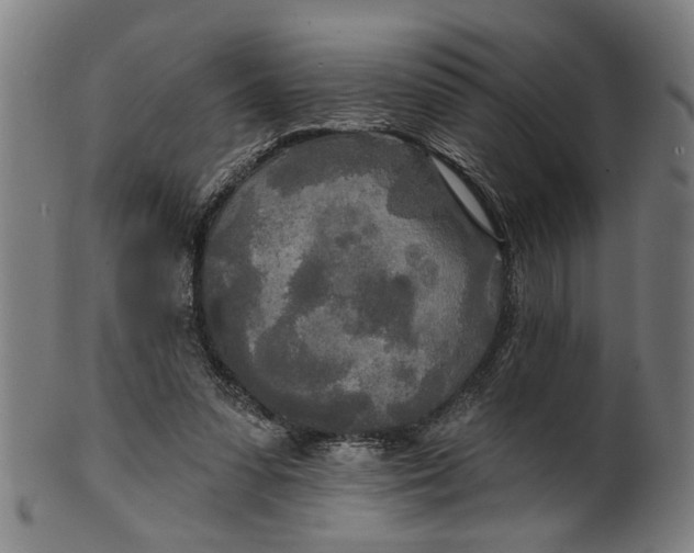 X0000100840303200807111158