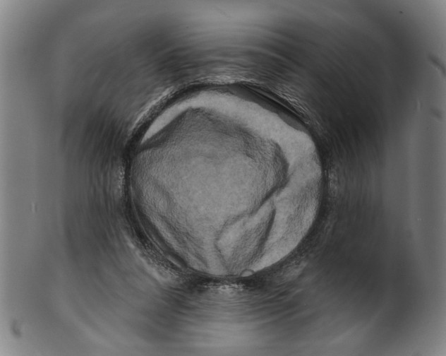 X0000100840304200807111158