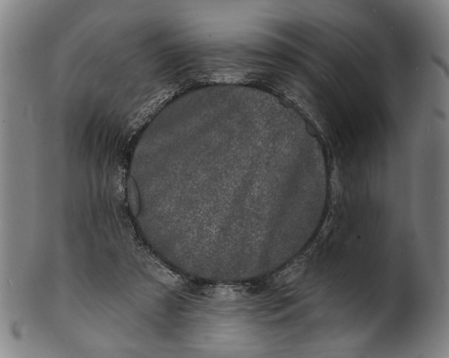 X0000100840305200807111158