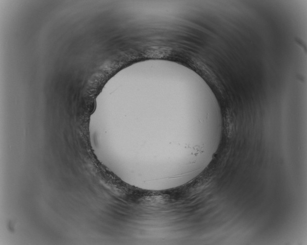 X0000100840307200807111158