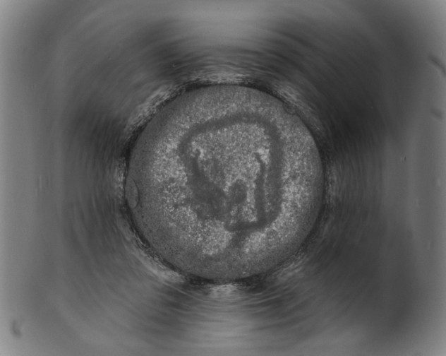 X0000100840309200807111158