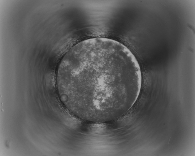 X0000100840313200807111158