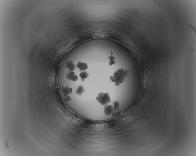 X0000100840314200807111158