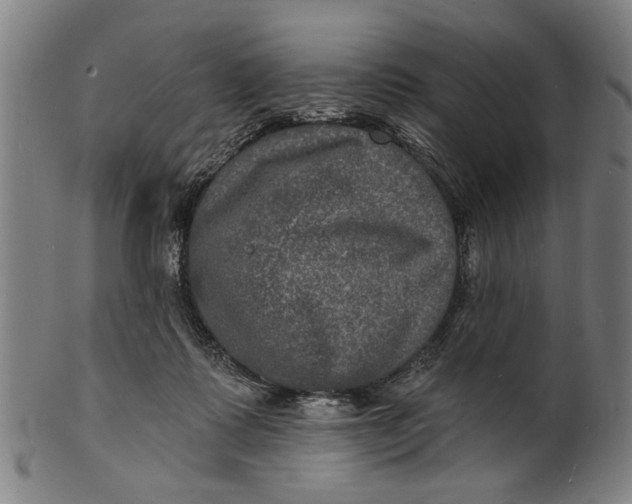 X0000100840315200807111158