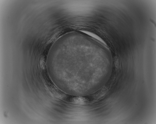 X0000100840316200807111158