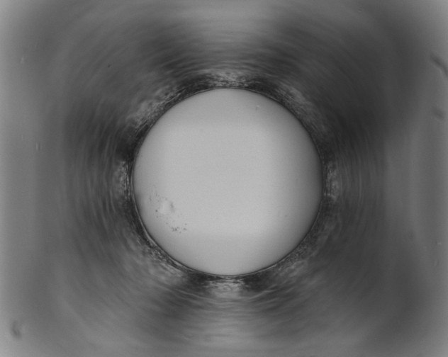 X0000100840318200807111157