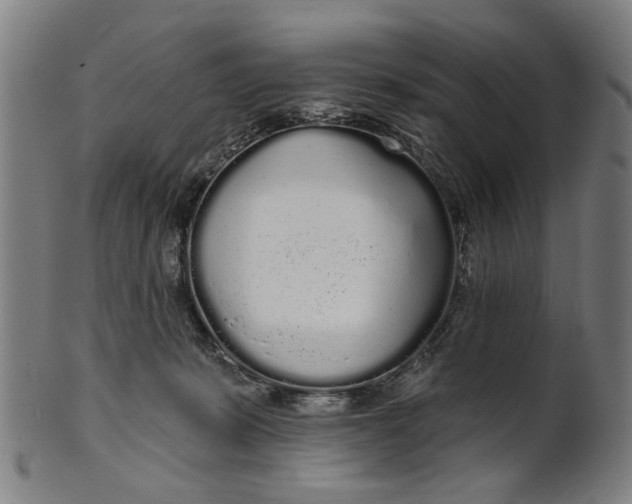 X0000100840319200807111157