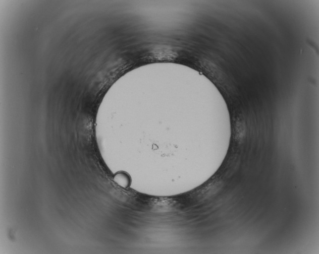 X0000100840321200807111157