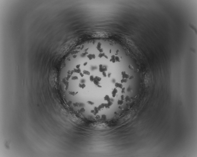 X0000100840322200807111157