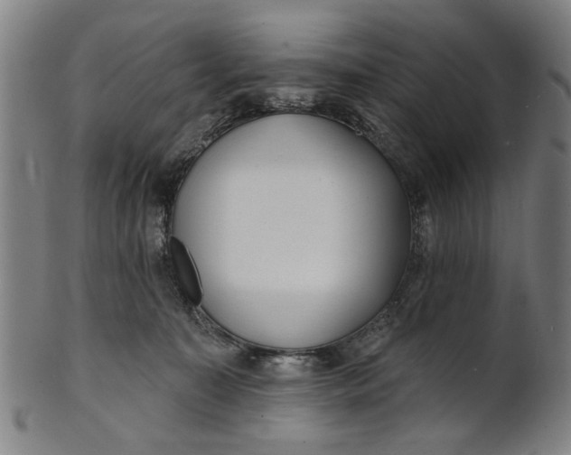 X0000100840323200807111157