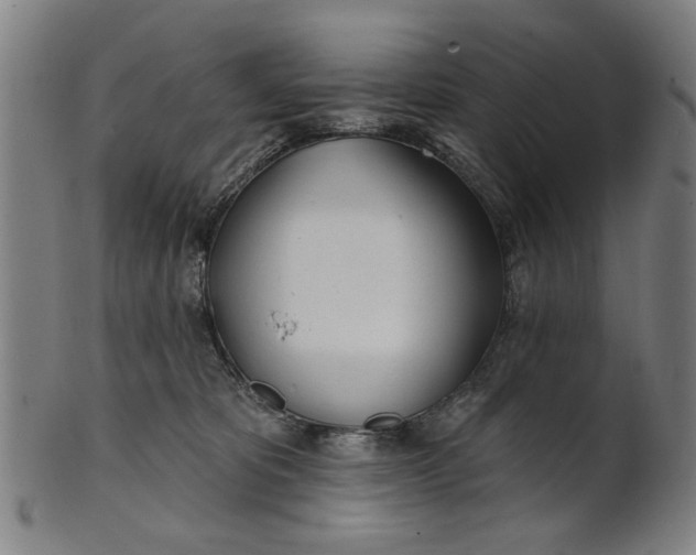 X0000100840325200807111157