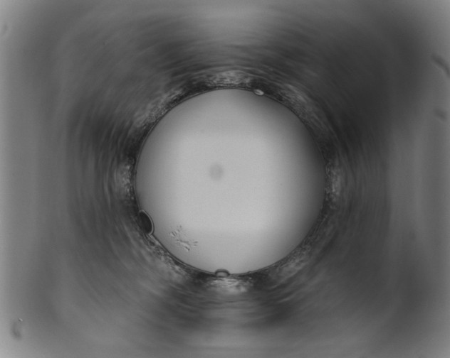 X0000100840326200807111157