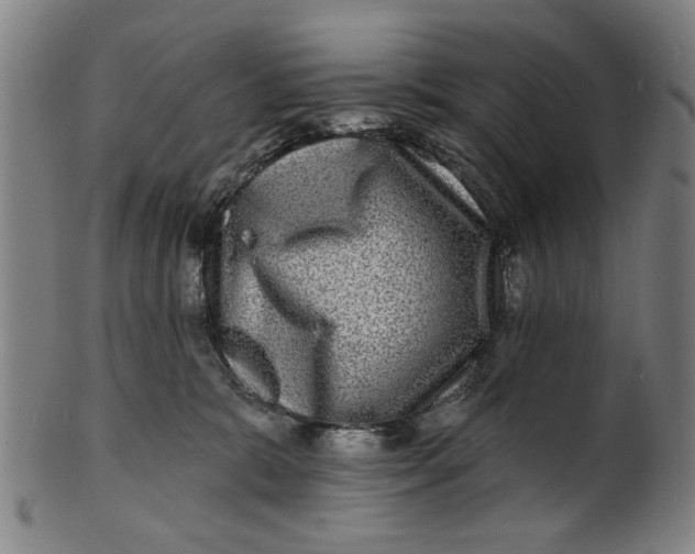 X0000100840327200807111157